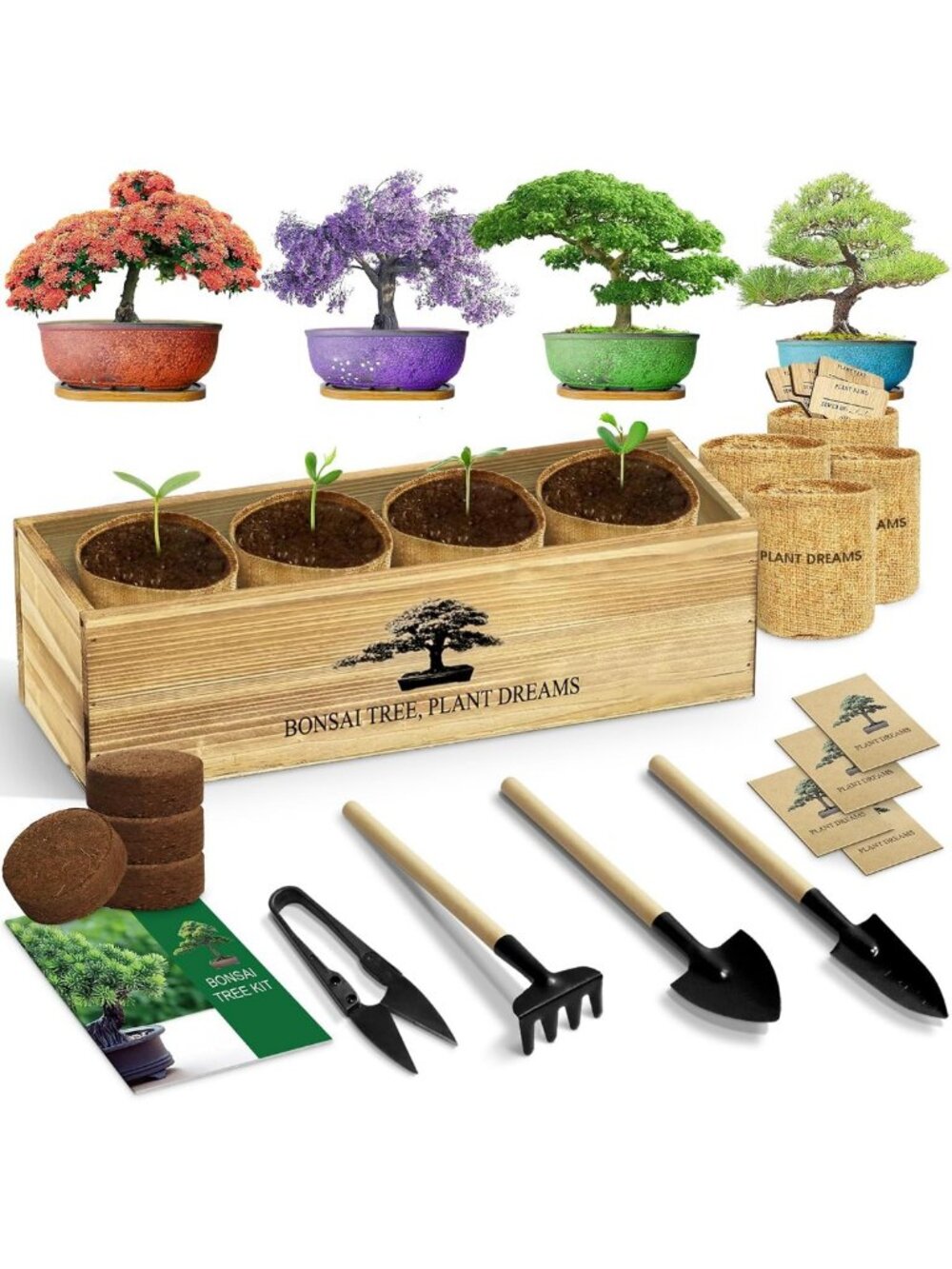 Complete Bonsai Tree Growing Kit - Perfect Gardening Gift for Plant Lovers